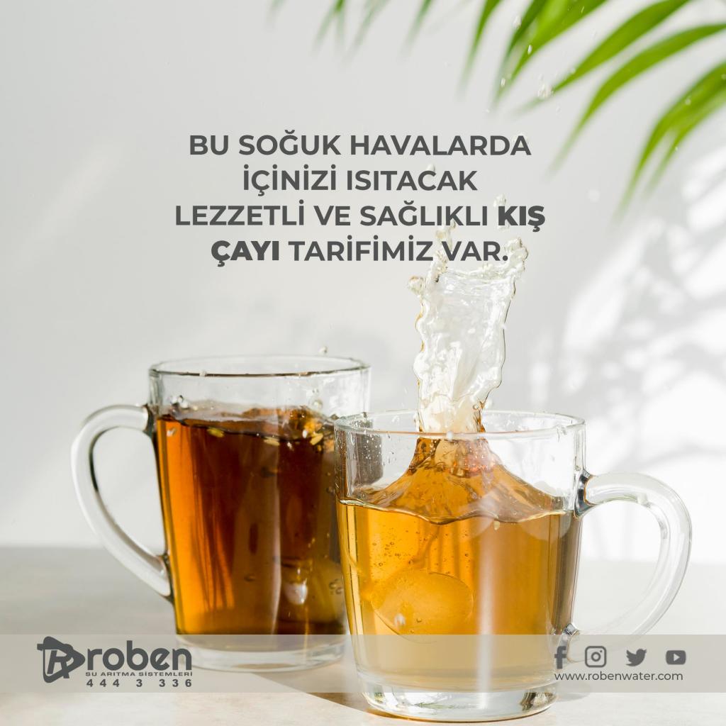 Bağışıklığı Güçlendiren Portakallı Zencefil Çayı 
